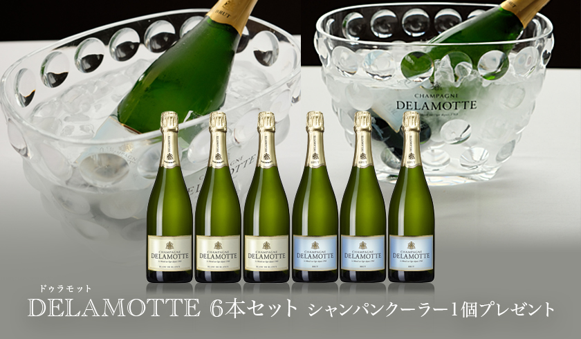 DELAMOTTEクーラー付きセット
