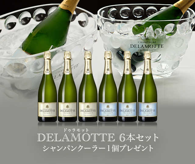 Delamotteクーラー付きセット