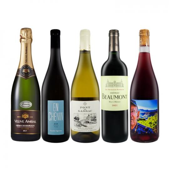 【数量限定】スパークリング&白赤ワイン5本セット