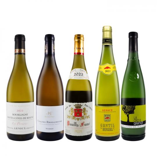 【数量限定】デイリーに楽しむ白ワイン5本セット